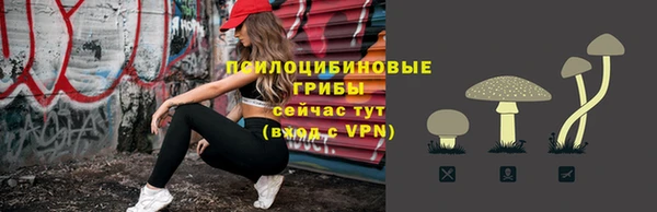 соль ск Алексеевка