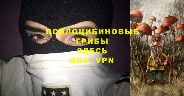 молекула духа Алзамай