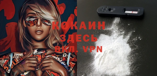 соль ск Алексеевка
