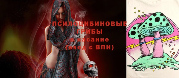 молекула духа Алзамай
